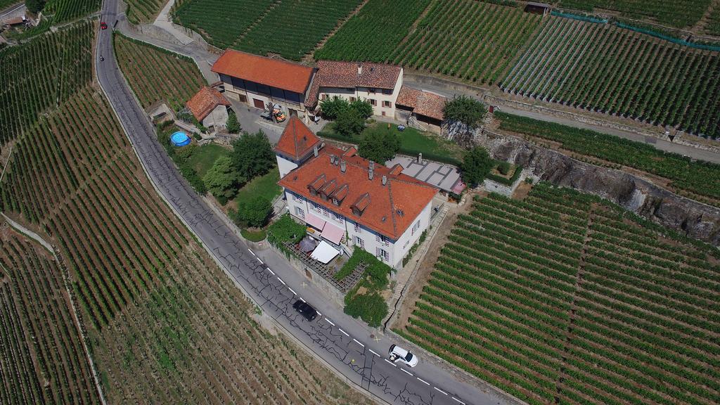 Domaine Du Burignon Hotel Saint-Saphorin Exterior foto