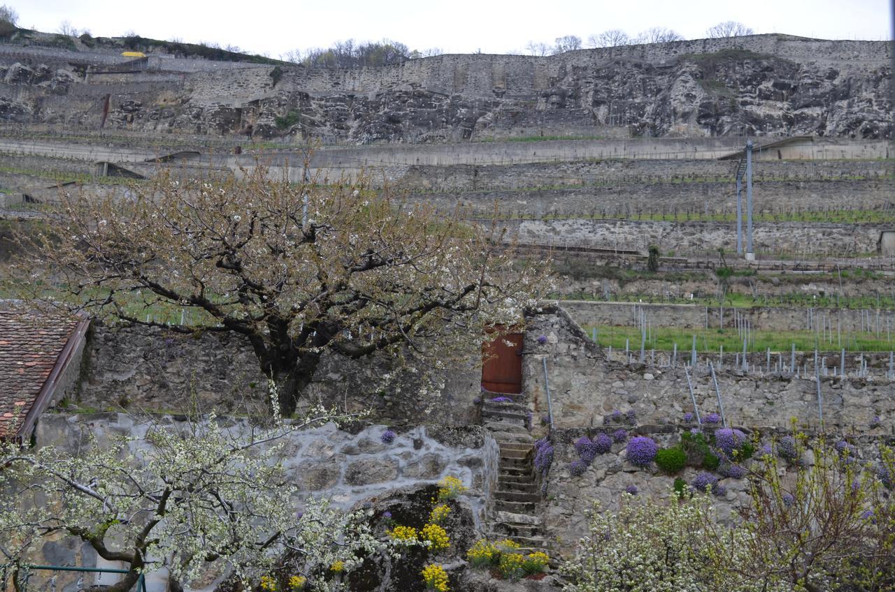 Domaine Du Burignon Hotel Saint-Saphorin Cameră foto